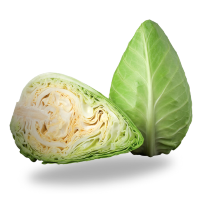 Spetskål/Cappucci punta ca 6gk/krt