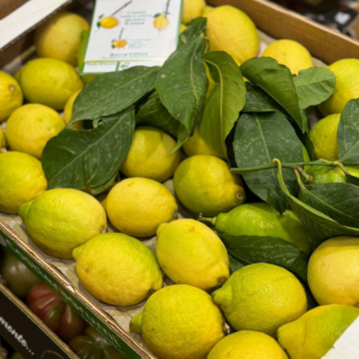 Citroner/Limone  med blad/foglia ca 7 kg/krt