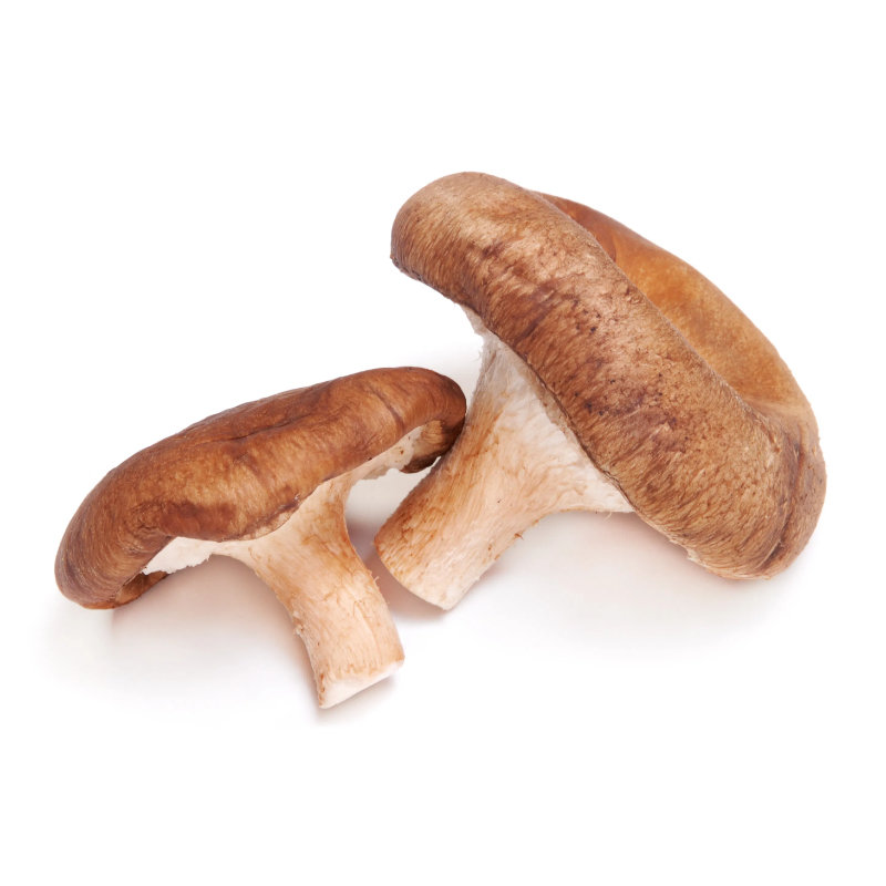 Shiitake ca 2 kg