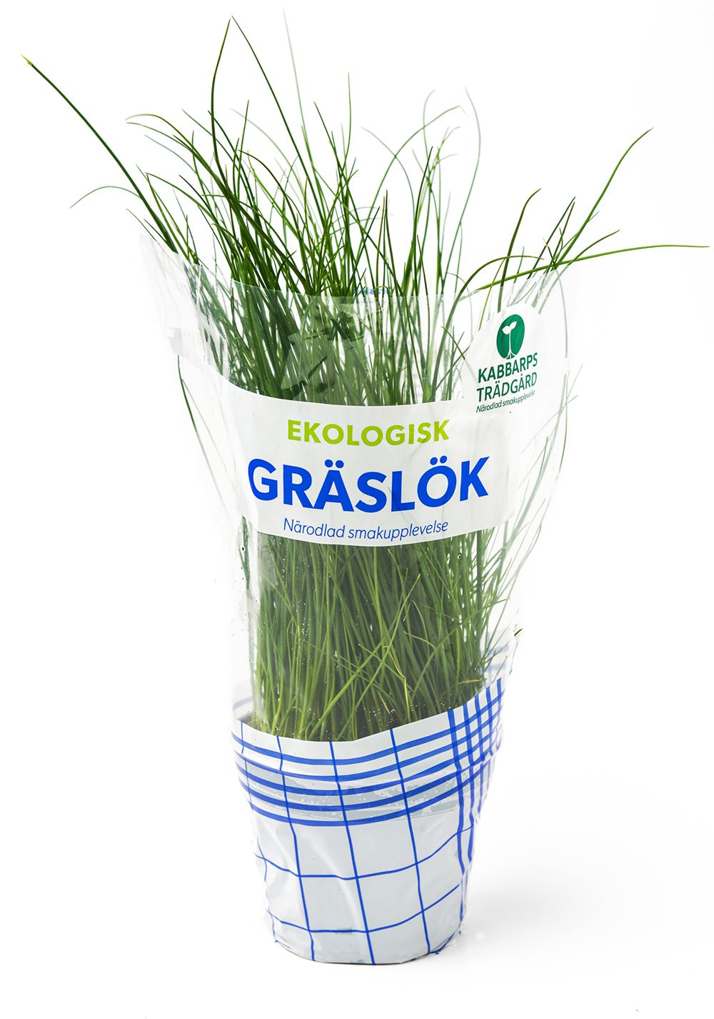 Gräslök