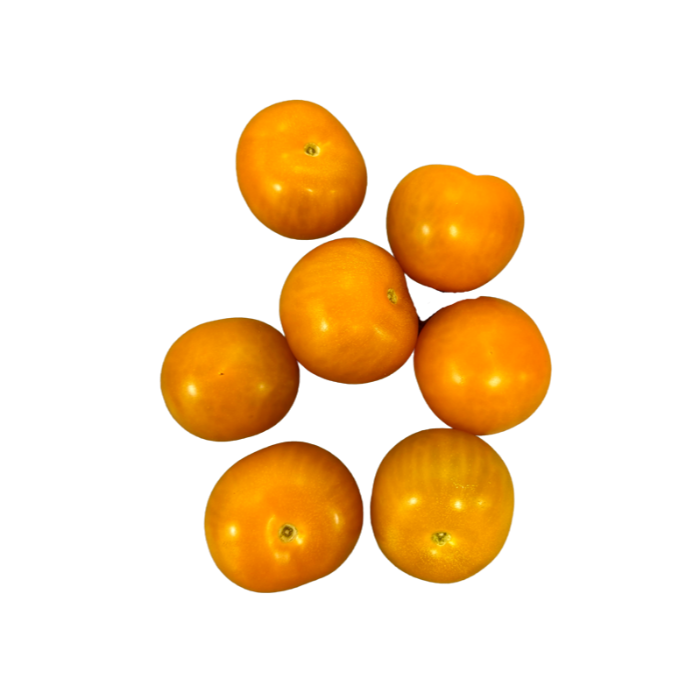 Tomat Orangino Lösvikt