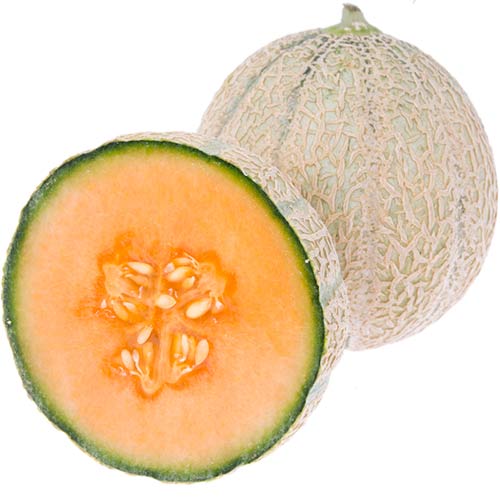 Nätmelon