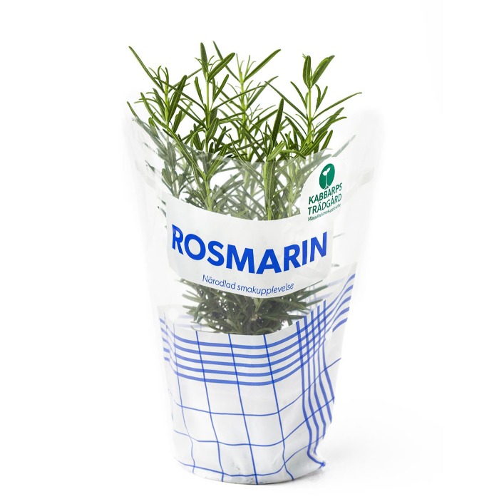 Rosmarin