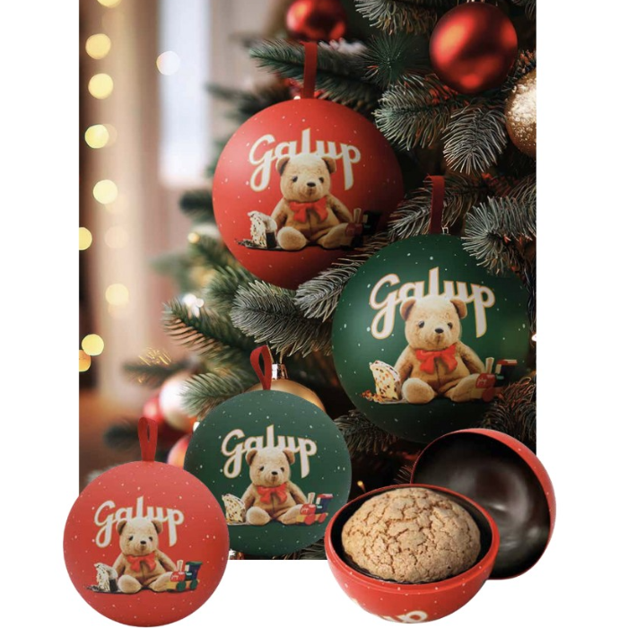 TED17 Traditional mini Panettone, 100g  Galup