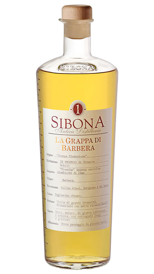 Barbera Magnum
