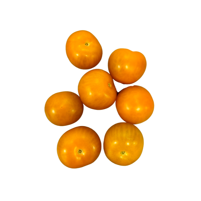 Tomat Orangino hel låda 6kg