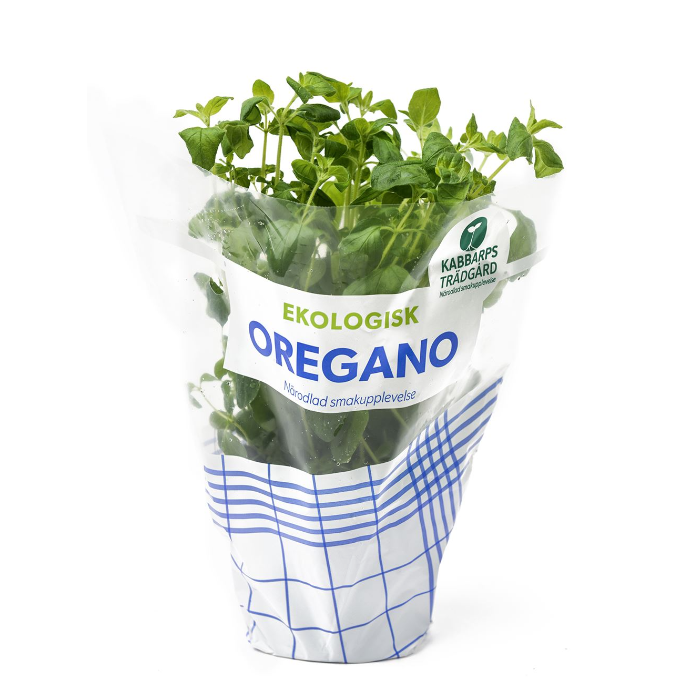 Oregano