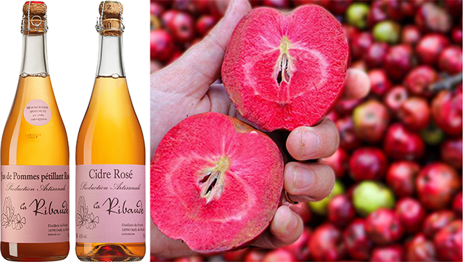 Jus de Pommes Rosé La Ribaude EKO