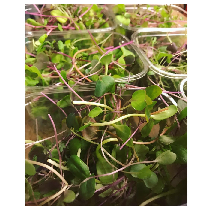 Microgrönt mild blandning 50g