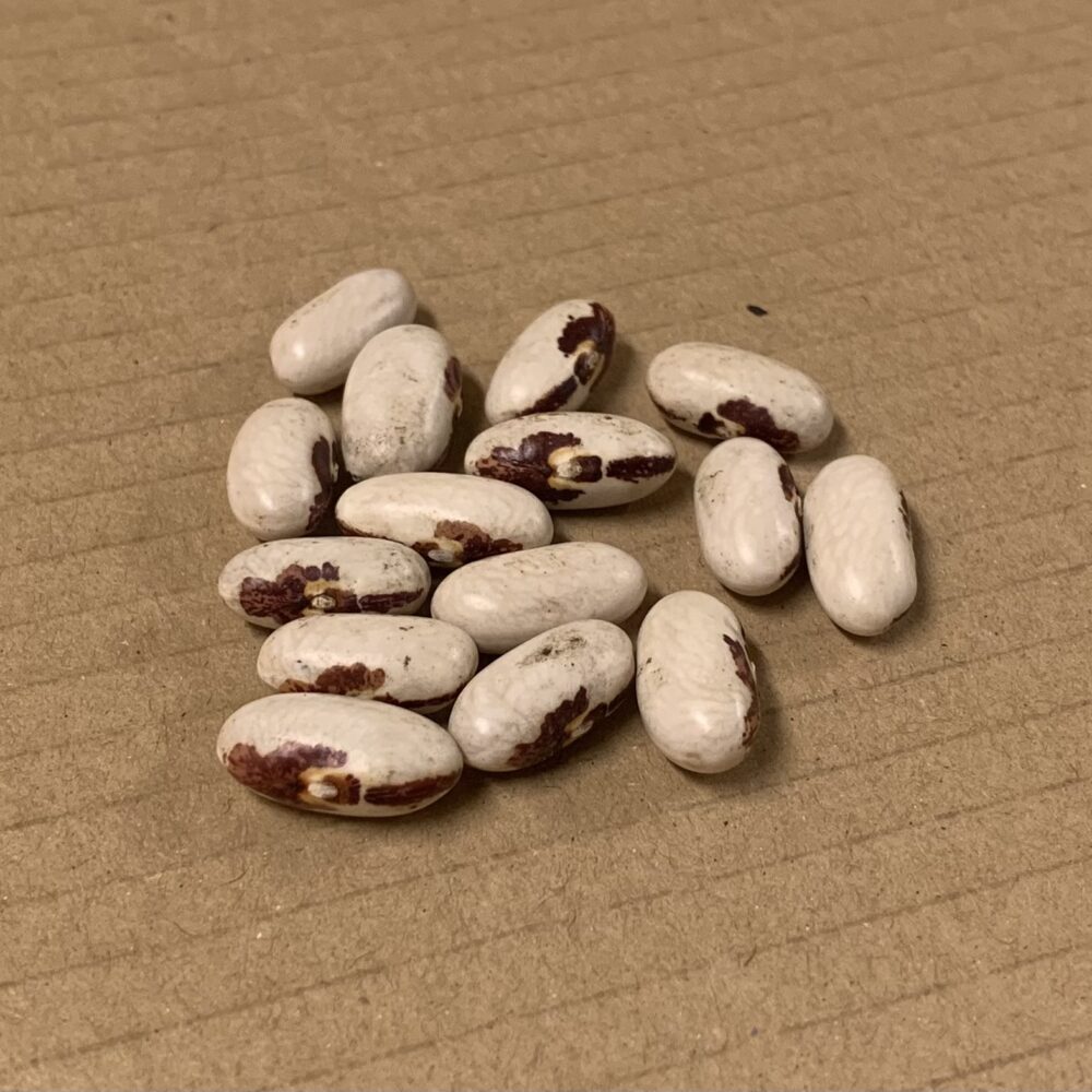 Fagraslätt Soldatbönor KRAV