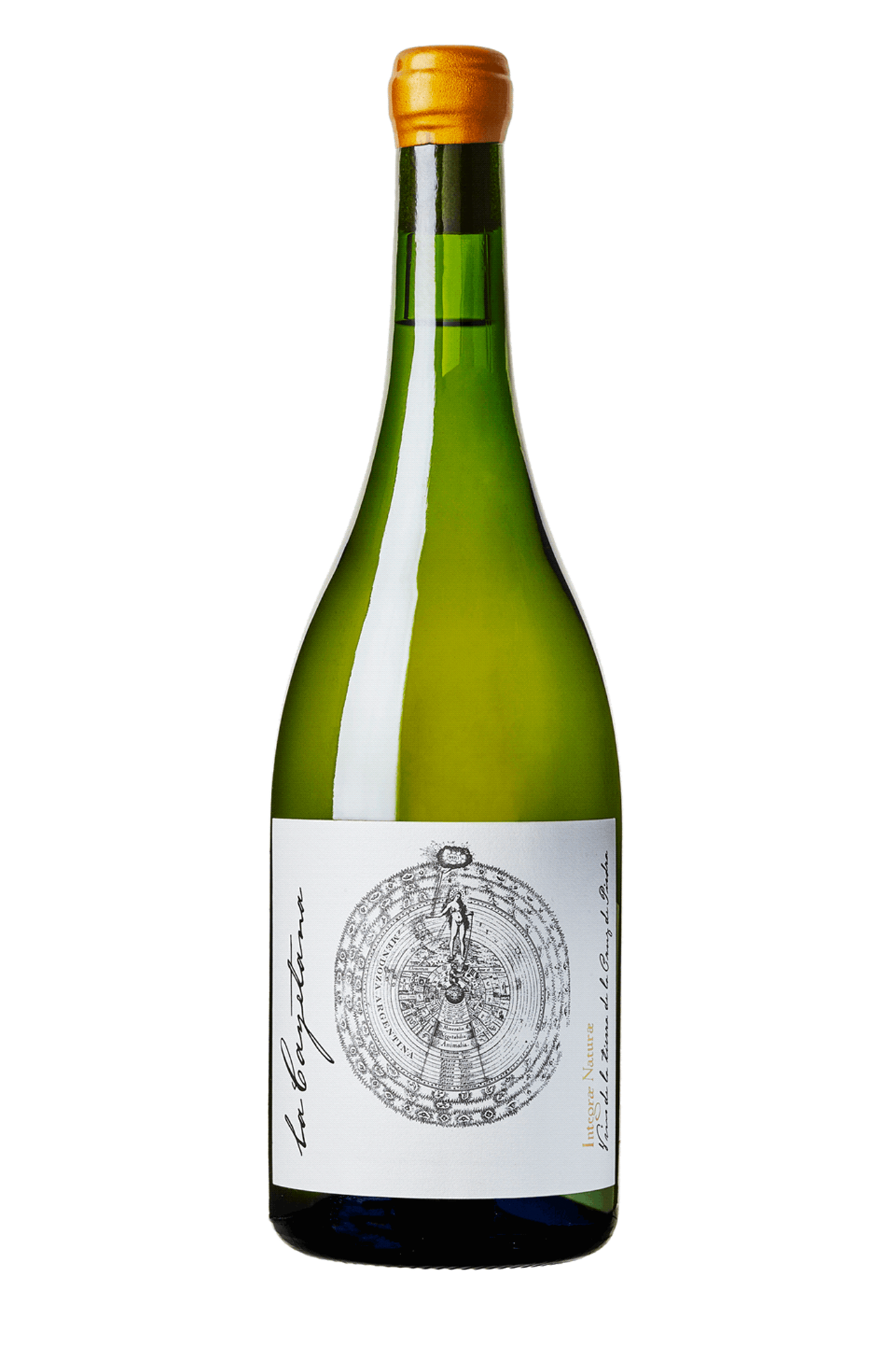 La Cayetana Criolla Blanca