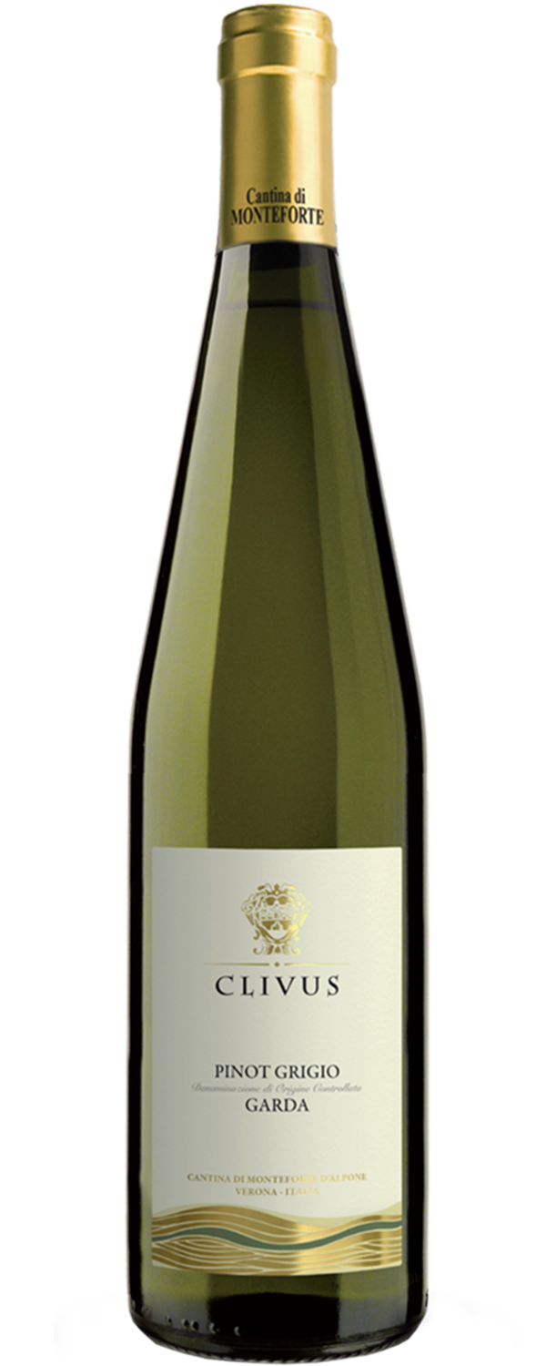 Pinot Grigio Garda D.O.C