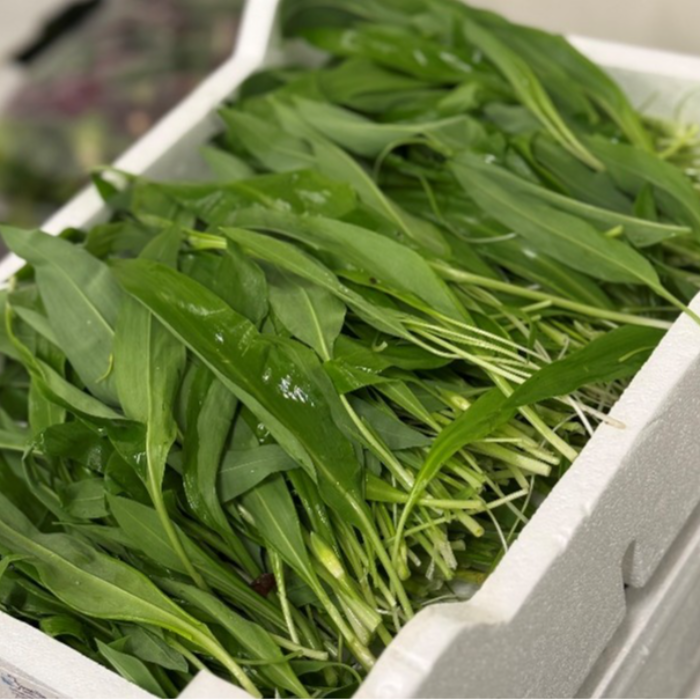 Ramslök 0,5 kg förp (Marrap - Aglio orsino)