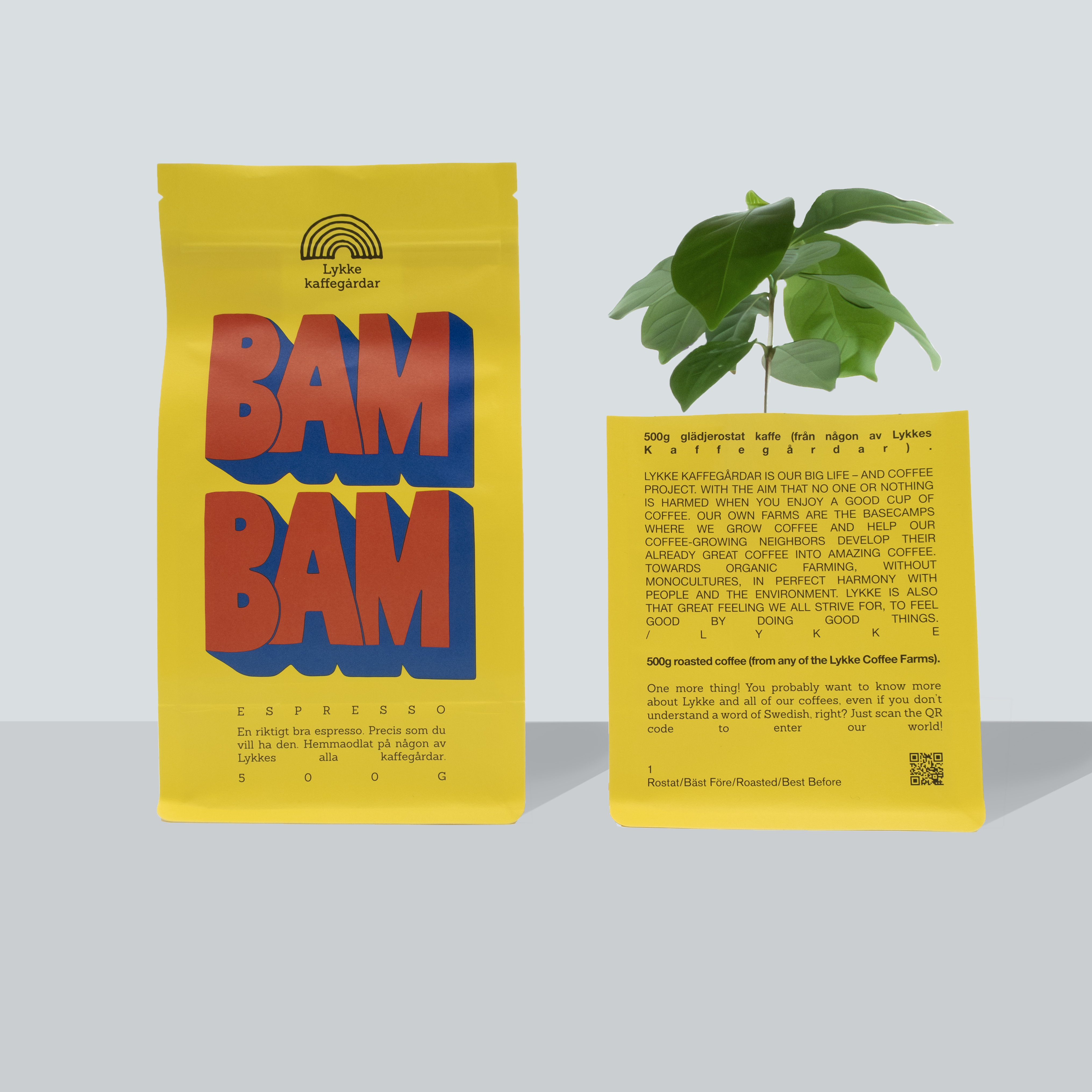 BAM BAM 500 g