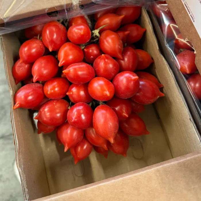 Piennolo del vesuvio dop,  låda  ( Marrap 1,5 kg)