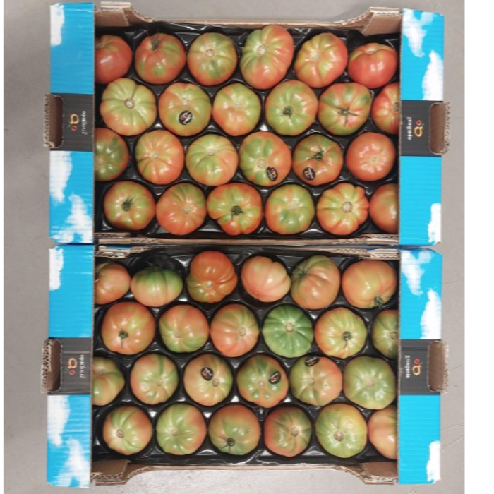 Tomat/Pomodoro Marinda ca 3,5 kg