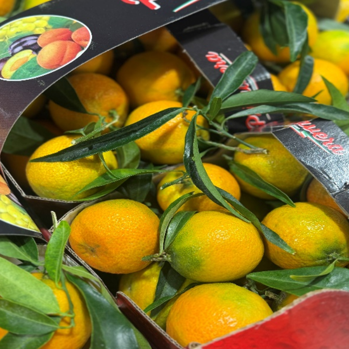Clementin med blad ca 5kg/krt