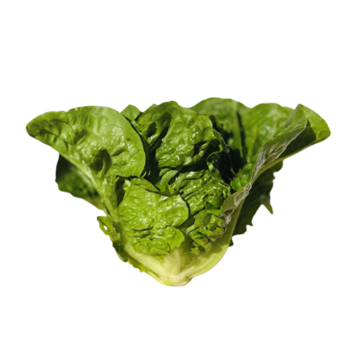 Romansallad Mini 15st/hel låda