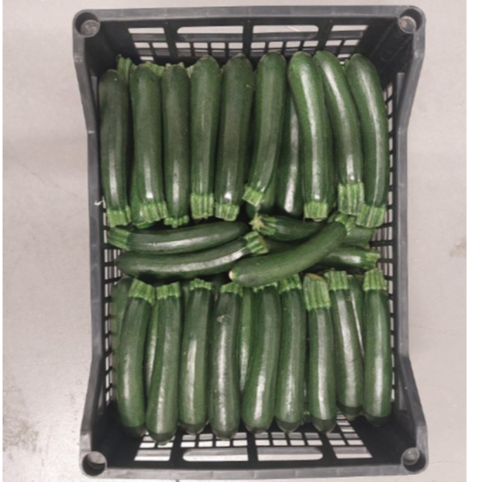 Zucchini/Zucchine Små/Piccole ca 5 kg/krt