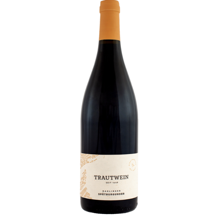 Village Noir 750 ml 13%