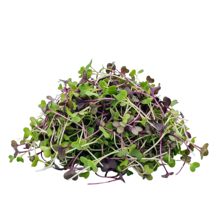 Microgrönt mild blandning 50g