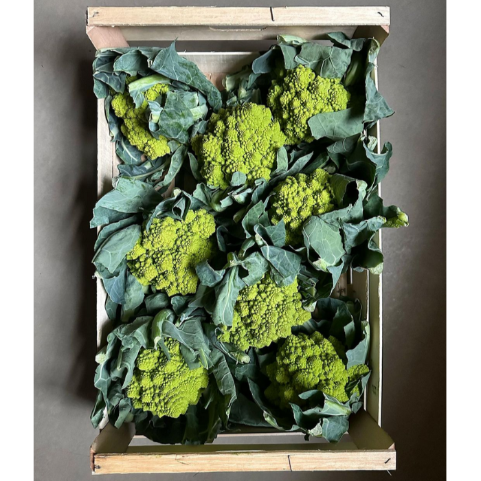 Blomkål Romanesco/grön  (Marrap - cavolfiore Romanesco) ca 8 kg/krt