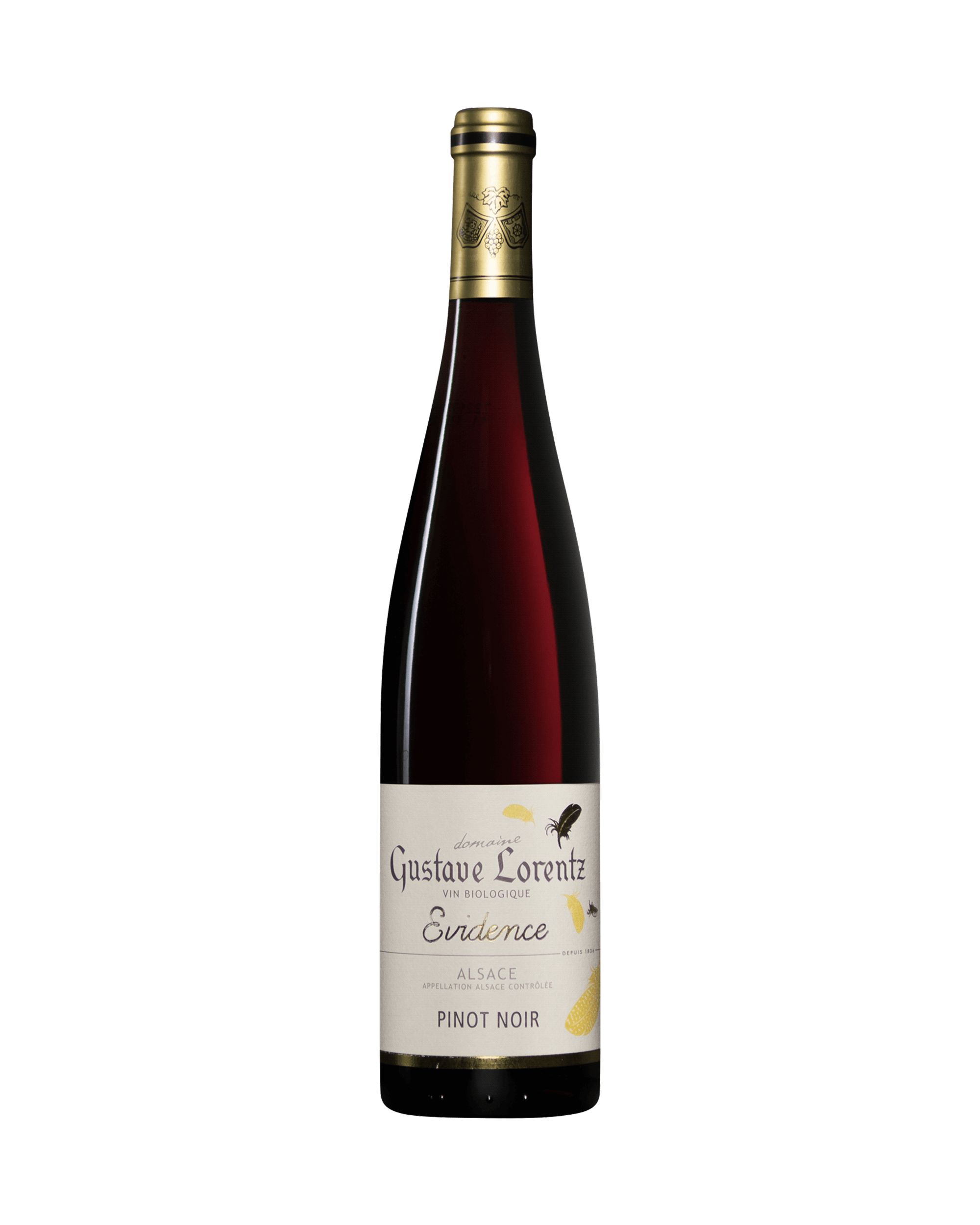 GL Pinot Noir Evidence EKO