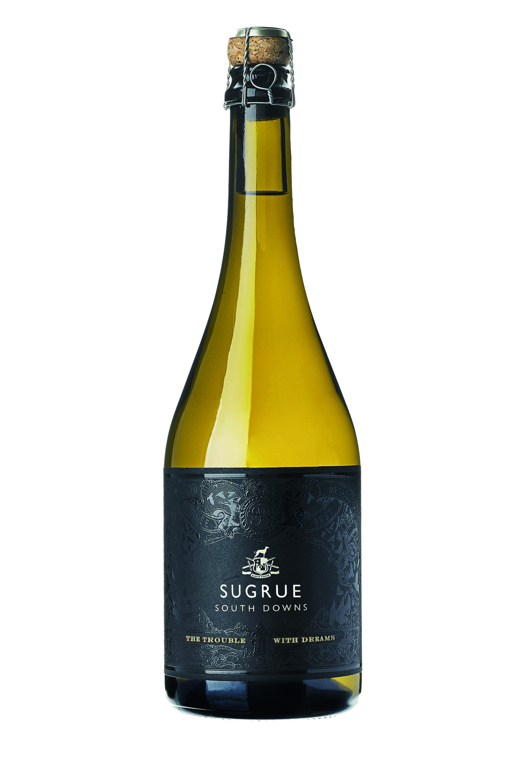 The Trouble with Dreams