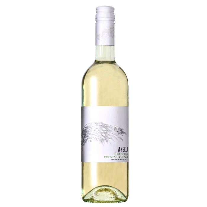 Angelo Pinot Grigio