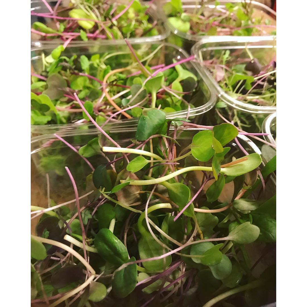 Microgrönt kryddig blanding 50g