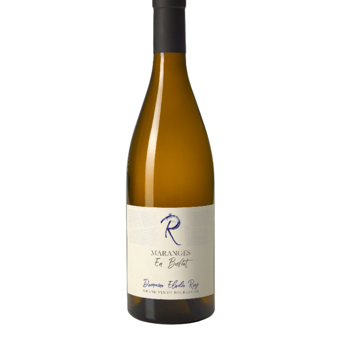 Domaine Elodie Roy "En Buliet"