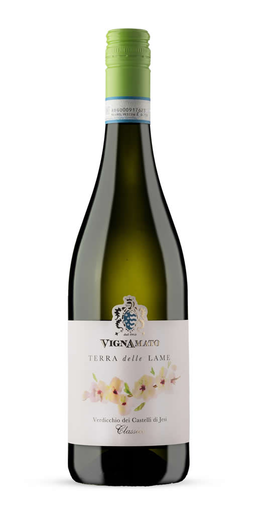 Verdicchio Classico "Terra delle Lame"