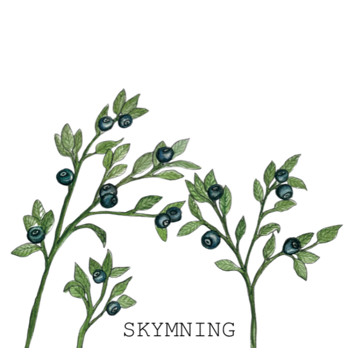 Munklägrets Skymning (Fat 20 l)