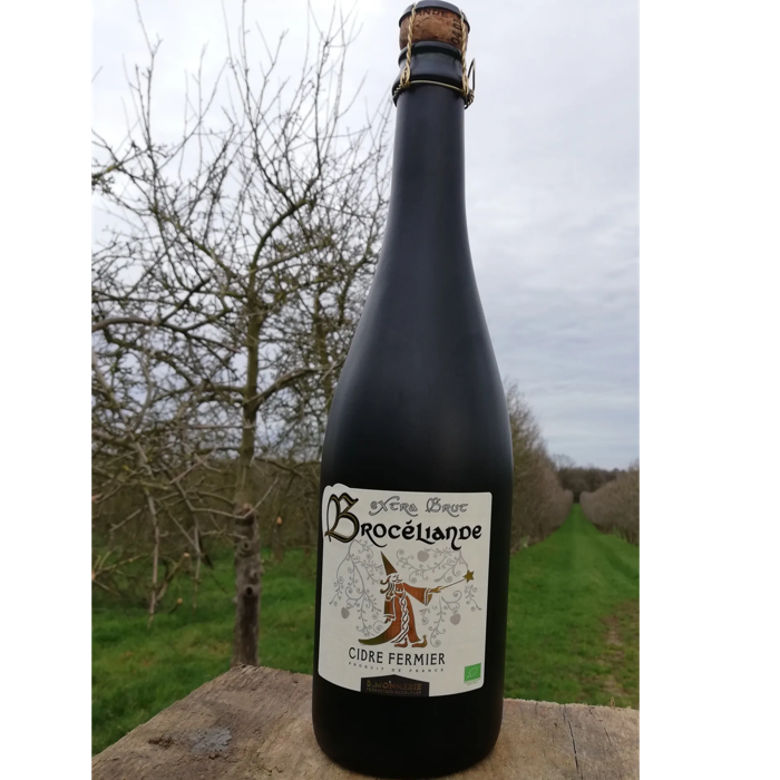 Cidre Extra Brut Broceliande