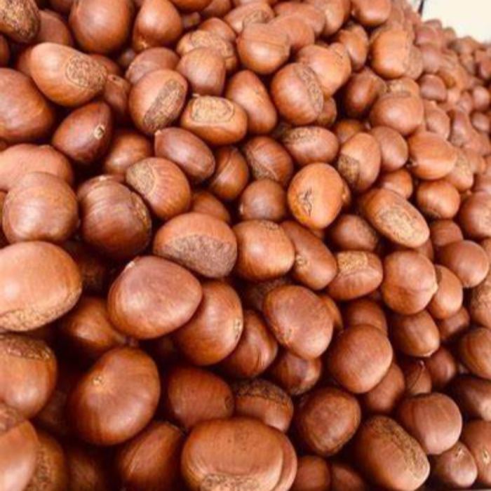 Kastanj/castagna 80/85 (Marrapese ca 5kg/påse)