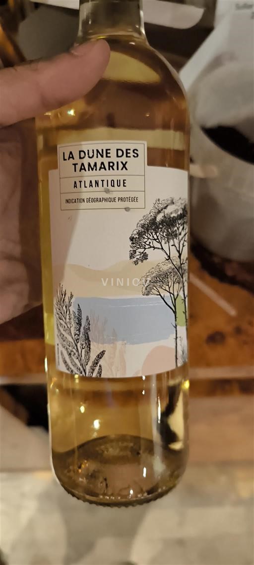 La Dune des Tamarix - Sauvignon Blanc
