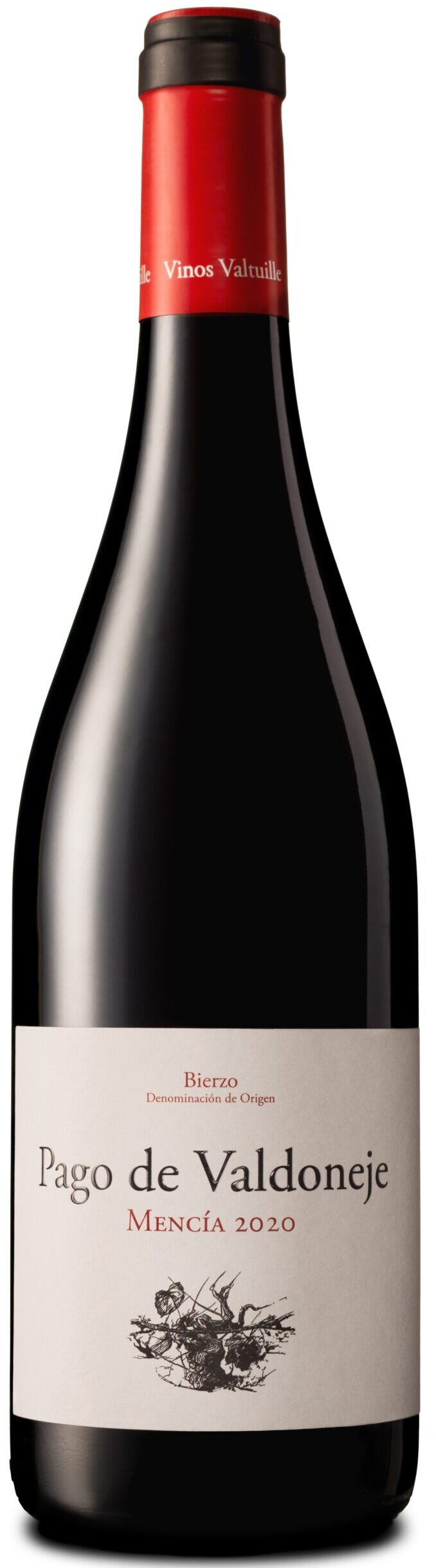 PV Mencia Bierzo Tinto