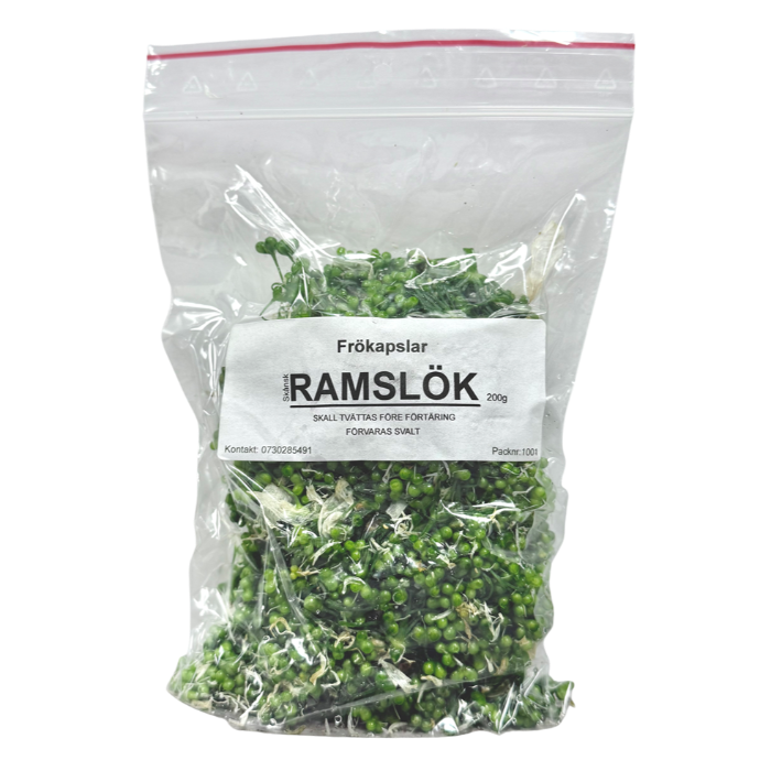 Frökapsel från Ramslök