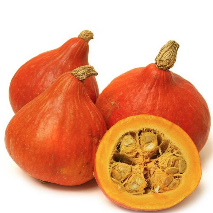 Pumpa/Zucche Hokkaido