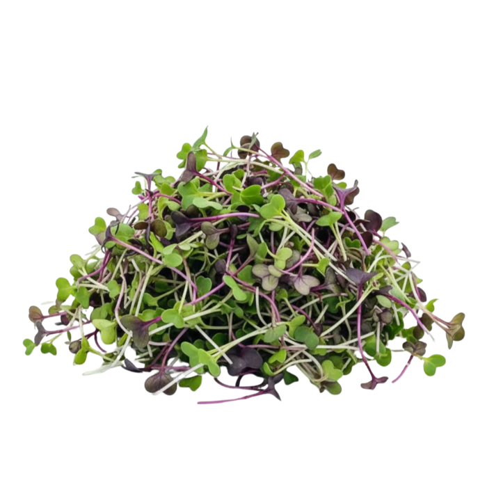 Microgrönt kryddig blandning 50g