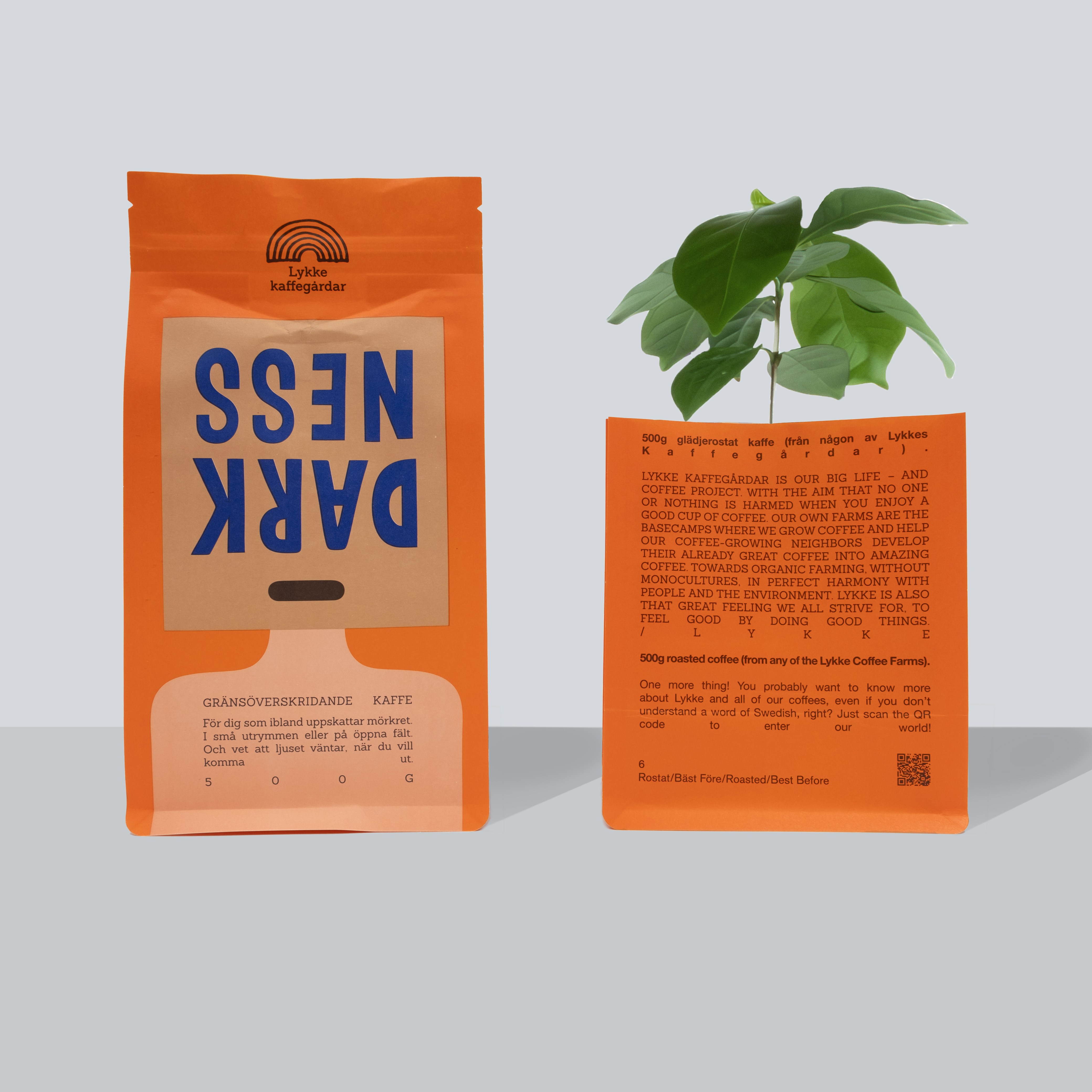 Darkness 500g Filter ground