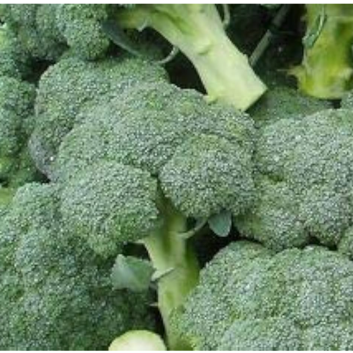 Broccoli Färsk ( Marrap ) ca 5 kg/krt.