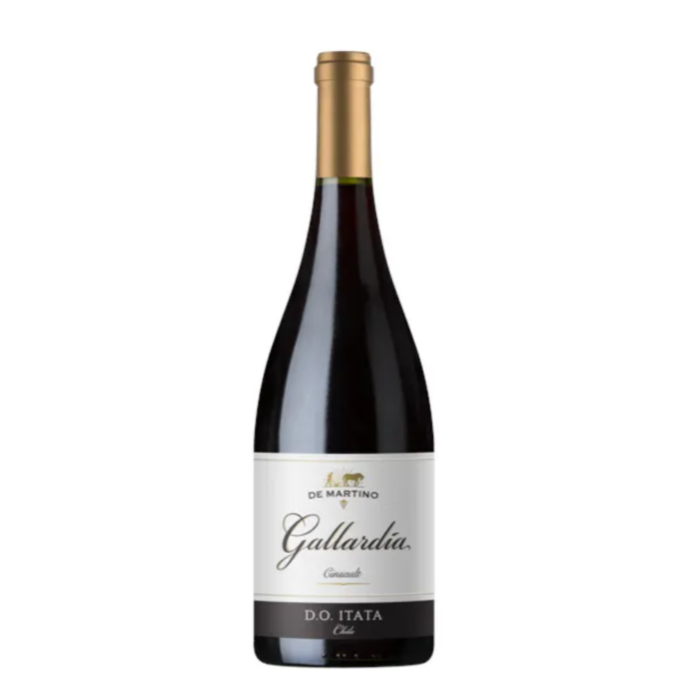 Gallardia Tinto