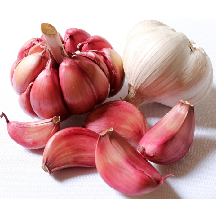 Vitlök Sulmona/Aglio rosso  ca 3 kg/krt