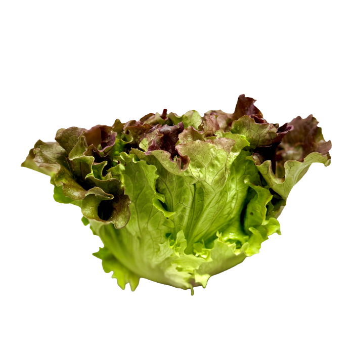 Sallad Batavia styckvis KRAV