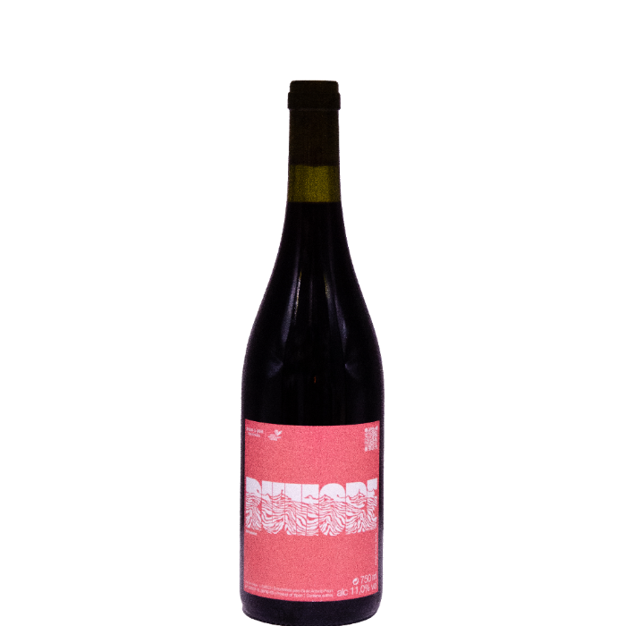 Giulio & Gaia Vinyataires, Rumore 2023