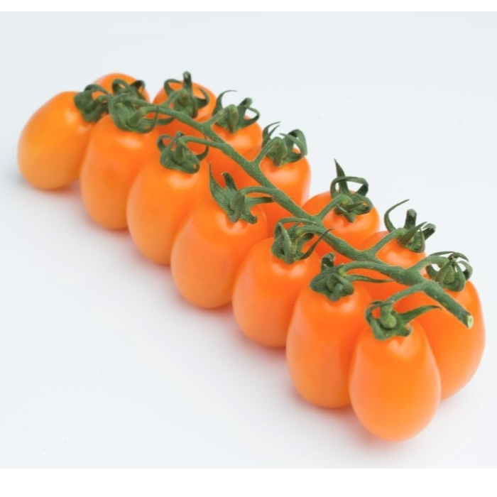 Tomater, Datterini orange ca 3kg/krt