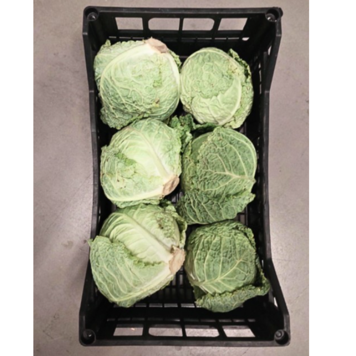 Grön Savoykål ca 7,5 kg ( Marrap )