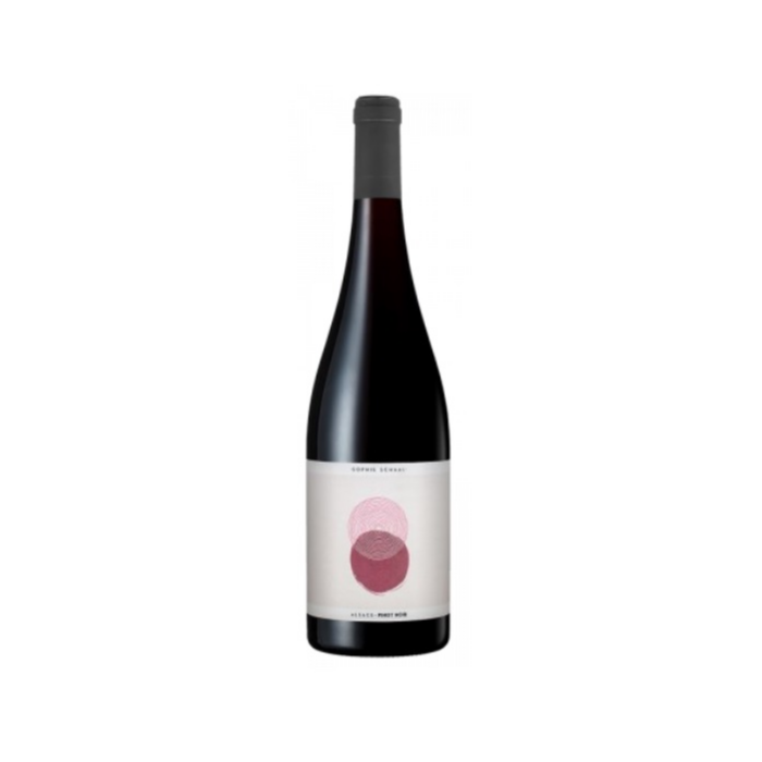 Pinot Noir - Sophie Schaal