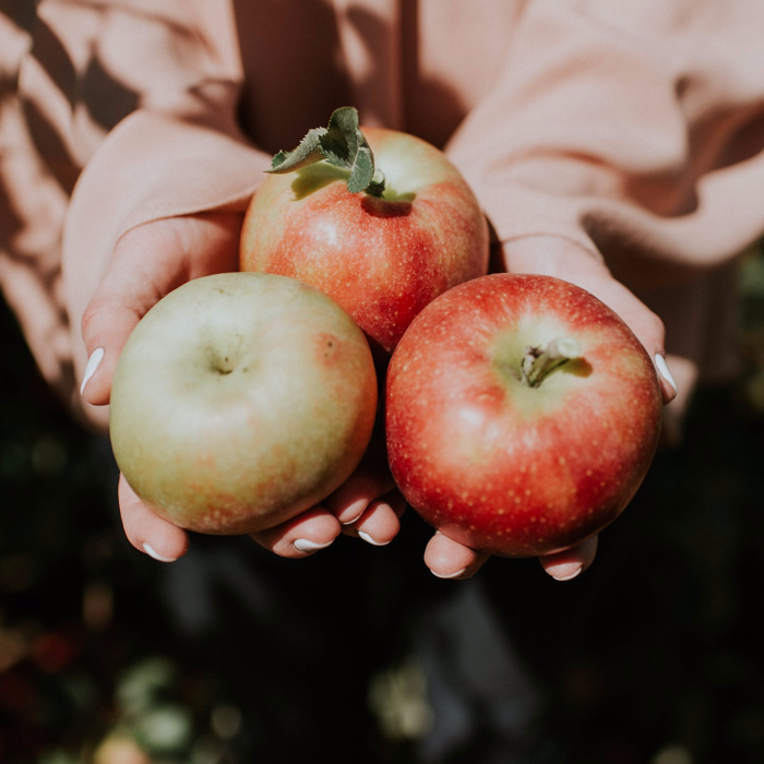 Foeder Cider 6,9% FAT 30L